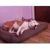 Durmiendo