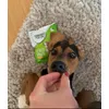 Neue Lieblingssnacks