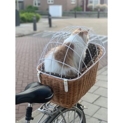 Diego in de fietsmand