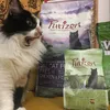 Sashi mmmm Purrrizon