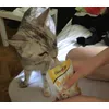 Pudding