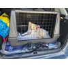 Cage atlas car 100 scenic dans Picasso 