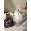 Tay e i suoi Smilla sensitive