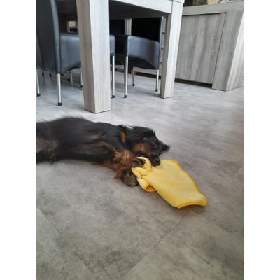 trop mimi