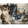 dat was lekker - Alaskan Malamute