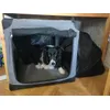 Border collie 22kg Torba rozmiar L