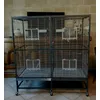 Cage oiseaux 