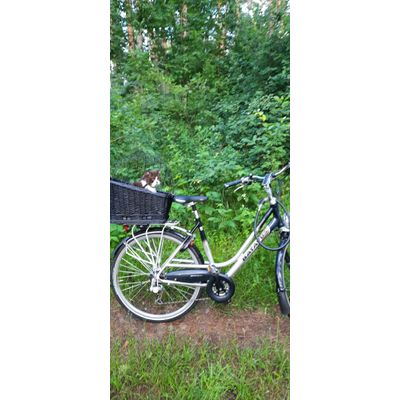 Velo