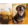 Mana the doggy and Moony the kitty