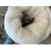 My kitten loves it