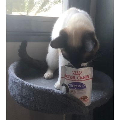 Sushi Royal Canin Sterilised