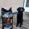 Purina sensitive skin