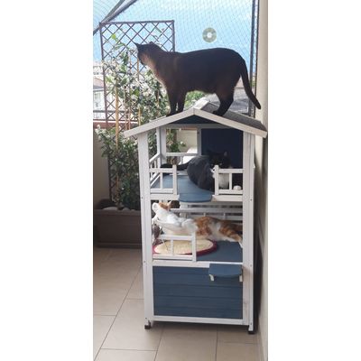 casetta Penthouse