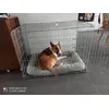 fericire