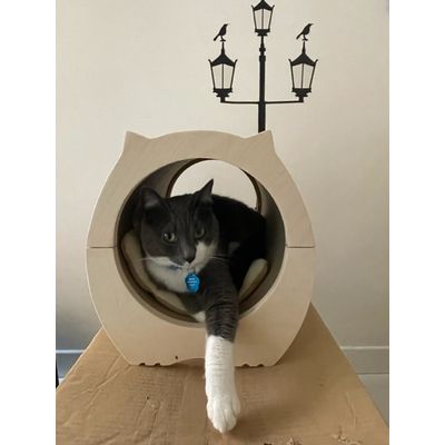 A Prince in its Castle