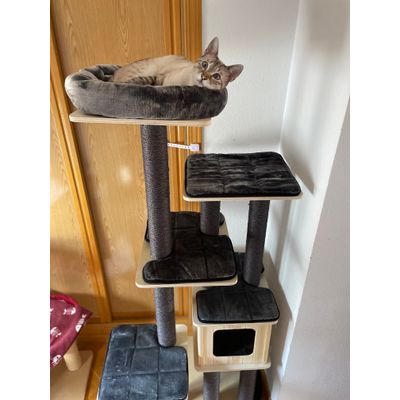 Minu en su nuevo castillo
