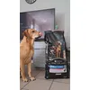 Purina Pro Plan Sensitive 