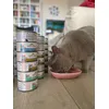 Sally e il suo cibo preferito 
