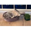 Relax