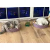Tutto relax