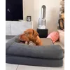 Gigi 