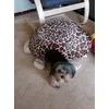 Neues Versteck 