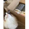 QiuQiu krijgt zijn pakket binnen