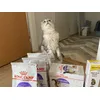 Milujeme zoohit a Royal Canin
