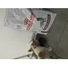 Muito satisfeito 