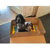 Milton and Pablo unboxing