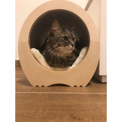 Cleo