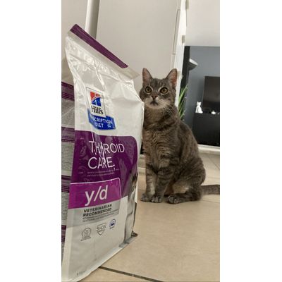 Gribouille et ses nouvelles croquettes