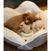 Supertoffe puppyknuffel