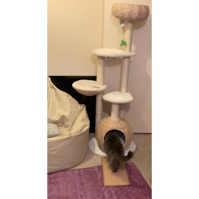 Laguna Cat Tree