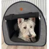 Westie