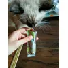 Artemis i Feringa Sticks