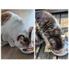 Trixie Futternapf ist prima
