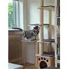 Lovely cat tree