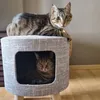 Lingling y Merlin 