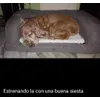 La siesta