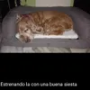 La siesta