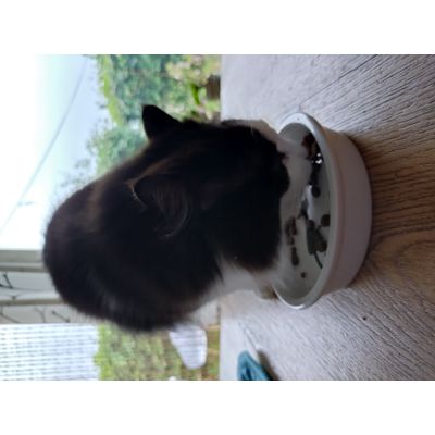 Good for sensitive whiskers