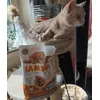 David mag IAMS Katzenfutter