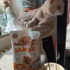 David mag IAMS Katzenfutter