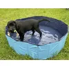 Black labrador 3 mounths