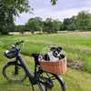 Fahrradkorb mit Hund