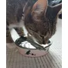 Small cute bowl