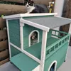 Green Cat House