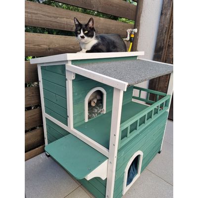 Green Cat House