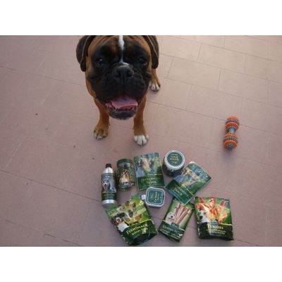 il mio cane ce l'ha profumato! :)